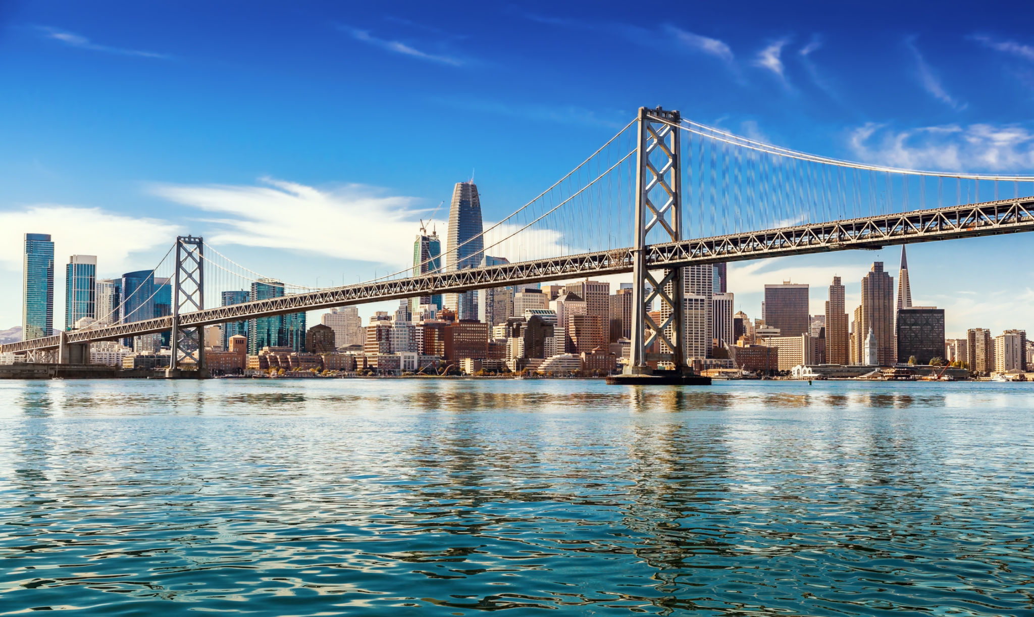 bay area business