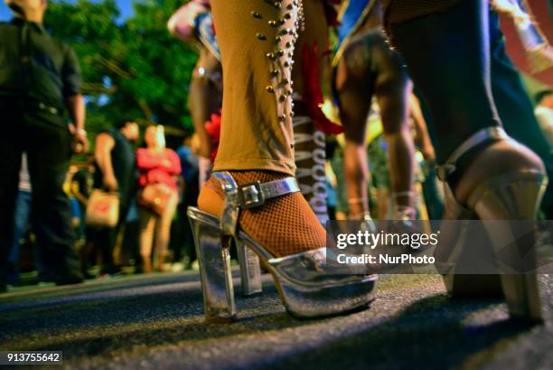 Revelers pose during street Carnival celebrations. Street carnival in Sao Paulo, many groups, called blocos, has bands and thousands of revelers ,...