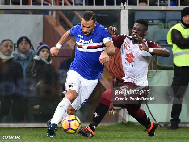 Fabio Quagliarella of Sampdoria opposed to Afriyie Acquah of Torino during the serie A match between UC Sampdoria and Torino FC at Stadio Luigi...
