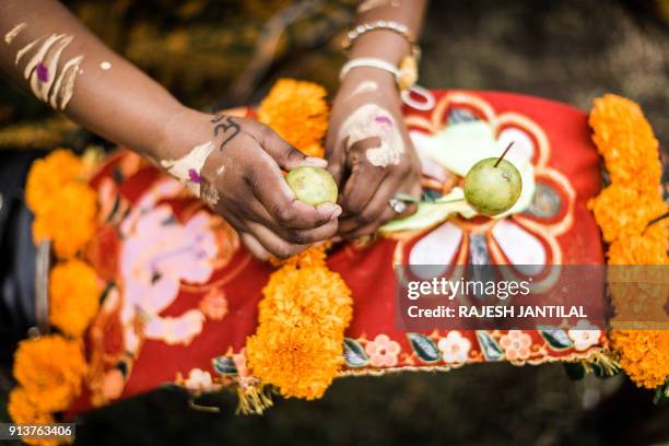 Kavady Patterns 95 Kavady Stock Photos, High-Res Pictures, and Images - Getty Images