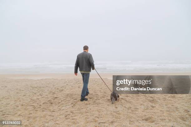 to the beach - ライツヴィルビーチ ストックフォトと画像