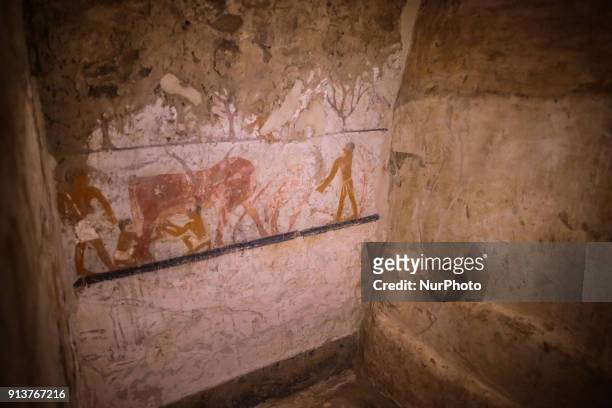 Inside the tomb of an Old Kingdom priestess on the Giza plateau on the southern outskirts of Cairo, Egypt, 03 February 2018. An Egyptian...