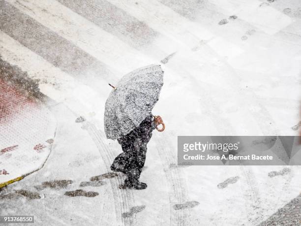 high angle view of person with umbrella walking in snow on street  with red umbrella in snowstorm. valencia, spain - winter weather stock-fotos und bilder