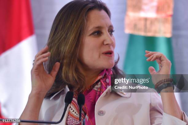 Minister of Foreign Affairs of Canada Chrystia Freeland is seen speaking during a press conference of North American Foreign Ministers Meeting at...