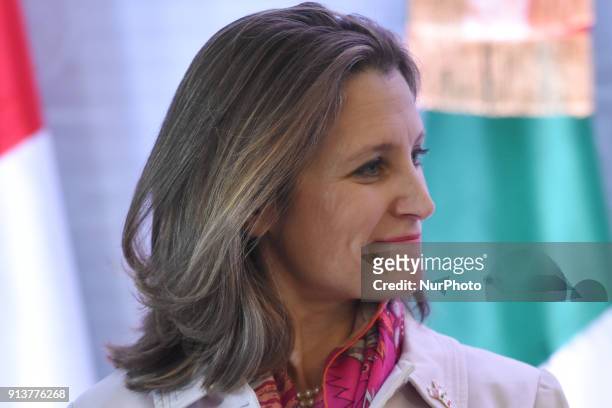 Minister of Foreign Affairs of Canada Chrystia Freeland is seen speaking during a press conference of North American Foreign Ministers Meeting at...