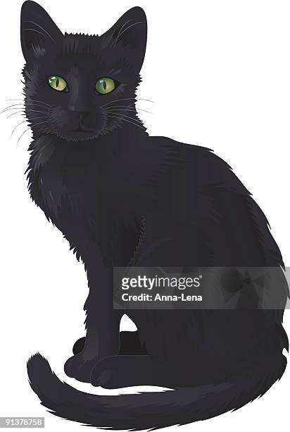 black cat - black coat stock illustrations