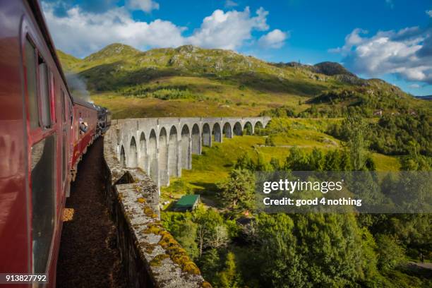 tren sobre puente - scotland train stock pictures, royalty-free photos & images