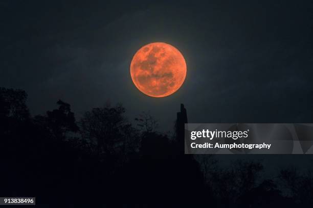 super blood blue moon - blood moon stock pictures, royalty-free photos & images