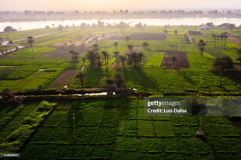 Cultivated fields by the Nile at sunset