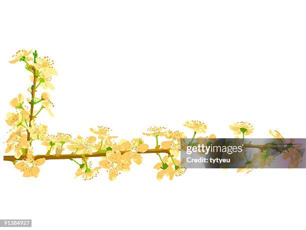 vector spring flowers - bud scar stock illustrations