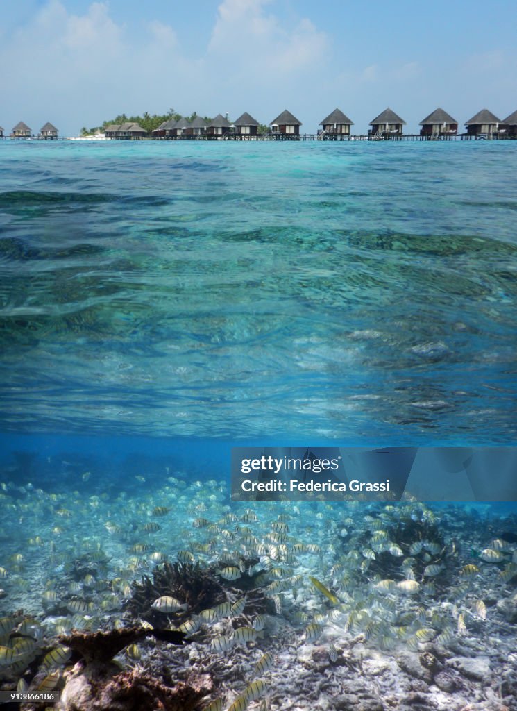 Overwater And Underwater View Of Maldivian Lagoon