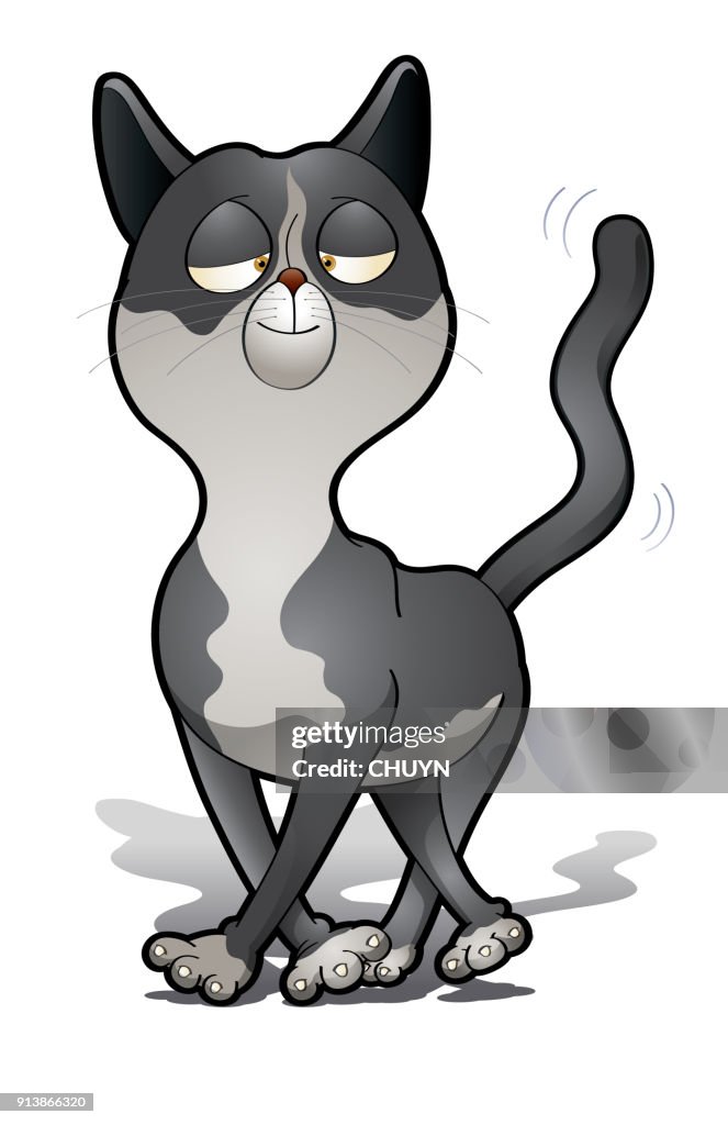 Catnip effects