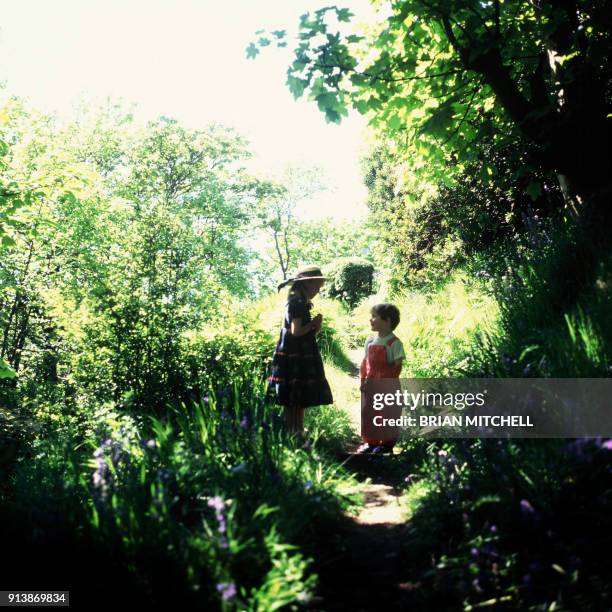 two small children playing in a garden of bluebell flowers - bluebell wood foto e immagini stock