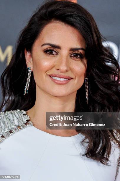 Penelope Cruz attends Goya Cinema Awards 2018 at Madrid Marriott Auditorium on February 3, 2018 in Madrid, Spain.