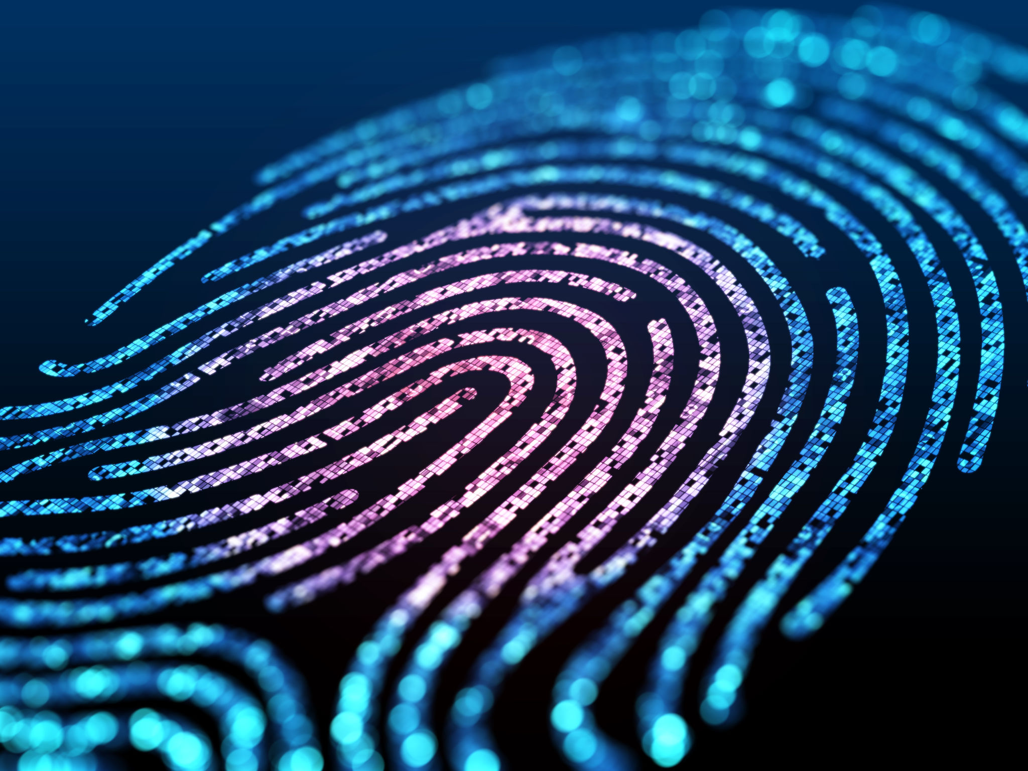 electronic fingerprint
