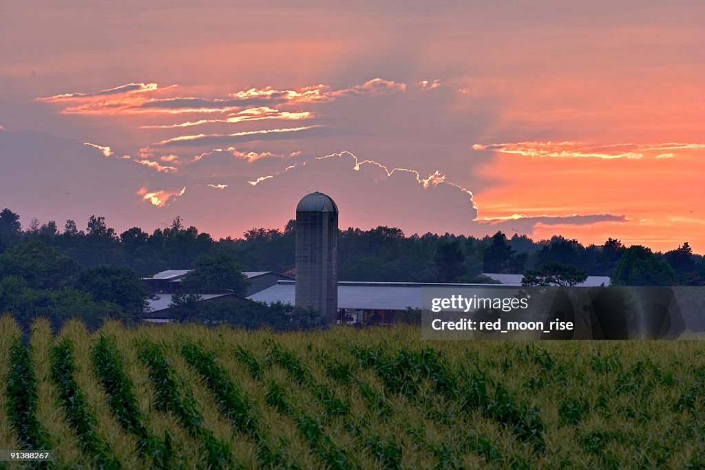 Burning North Carolina Sky