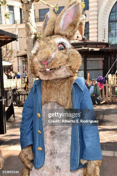 Pb&j Rabbit 3,160 Peter Rabbit Images Stock Photos, High-Res Pictures, and Images ...