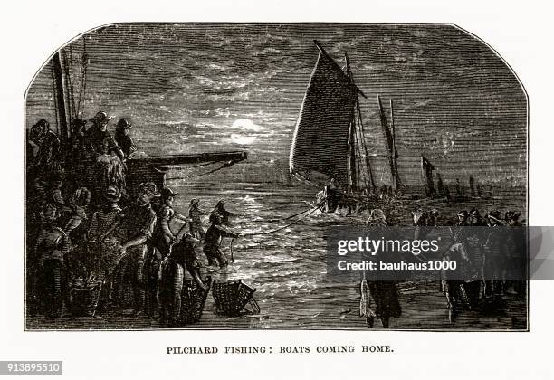 fishing boats, pilchard in cornwall, england victorian engraving, circa 1840 - cornwall beach stock illustrations