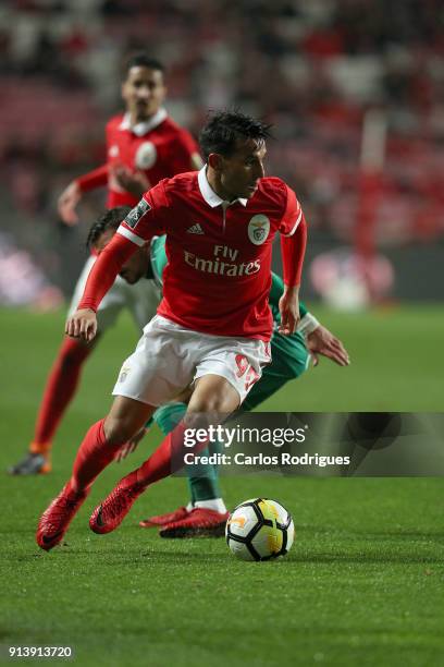 Benfica midfielder Joao Carvalho from Portugal during the match between SL Benfica and Rio Ave FC for the Portuguese Primeira Liga at Estadio da Luz...