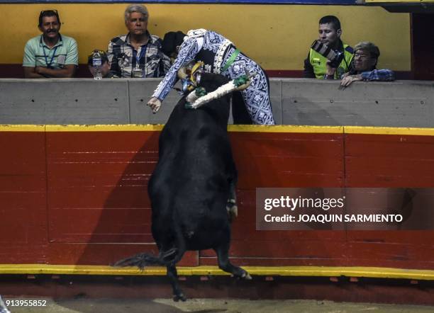 Banderillero is hit by a bull during a bullfight at La Macarena bullring in Medellin, Colombia, on February 3, 2018. / AFP PHOTO / JOAQUIN SARMIENTO