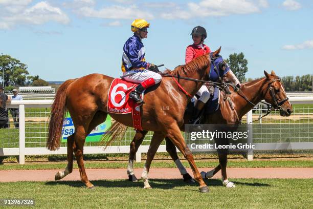 King Kabuto ridden by Craig Williams returns after winning the Quest Sale Maiden Plate at Sale Racecourse on February 04, 2018 in Sale, Australia.