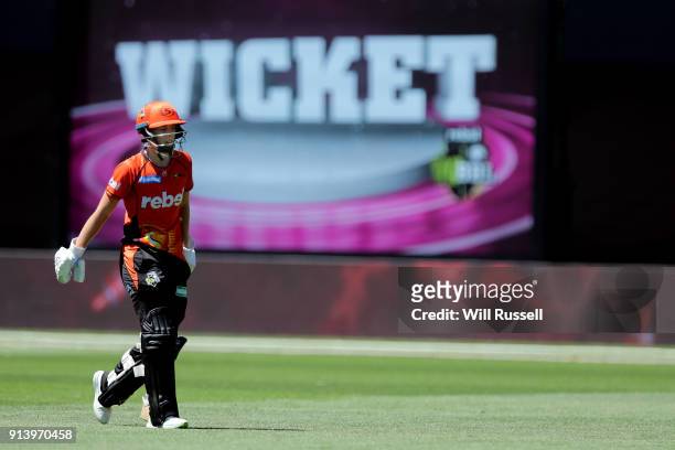 Elyse Villani of the Scorchers leaves the field after being dismissed during the Women's Big Bash League final match between the Sydney Sixers and...