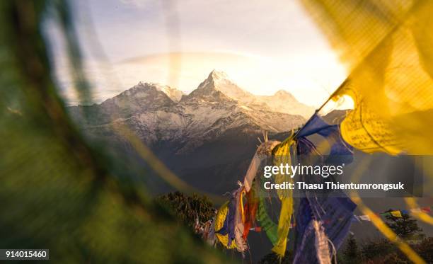 poonhill , nepal - nepali flag stock-fotos und bilder