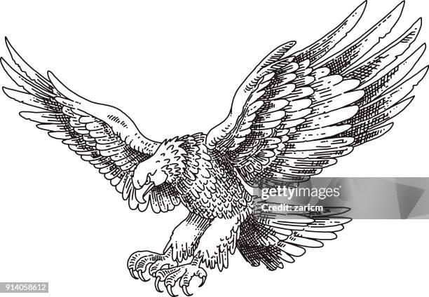 eagle - bald eagle wings stock illustrations