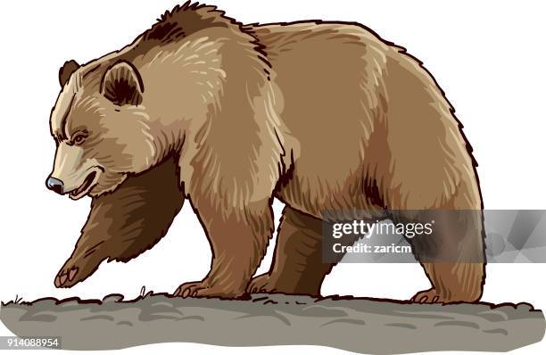 Ilustraciones de Oso Grizzly - Getty Images Ilustraciones de Oso Grizzly - Getty Images
