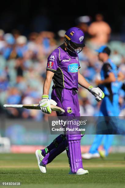 Tim Paine of the Hurricanes walk from the field after being dismissed during the Big Bash League Final match between the Adelaide Strikers and the...