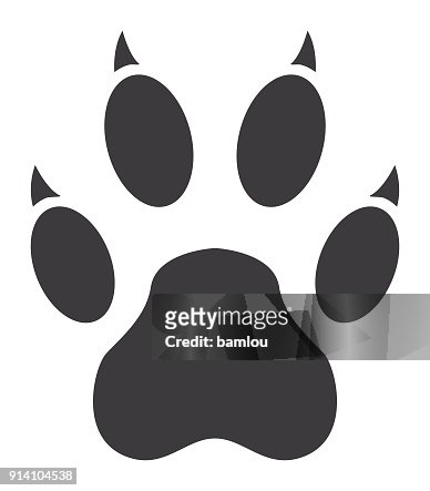 Tiger Paw Print Icon High-Res Vector Graphic - Getty Images