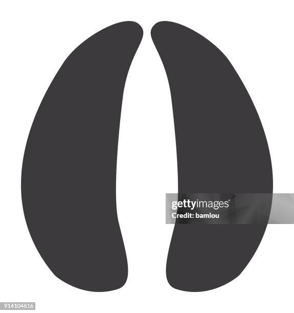 758点の蹄イラスト素材 Getty Images 758点の蹄イラスト素材 Getty Images