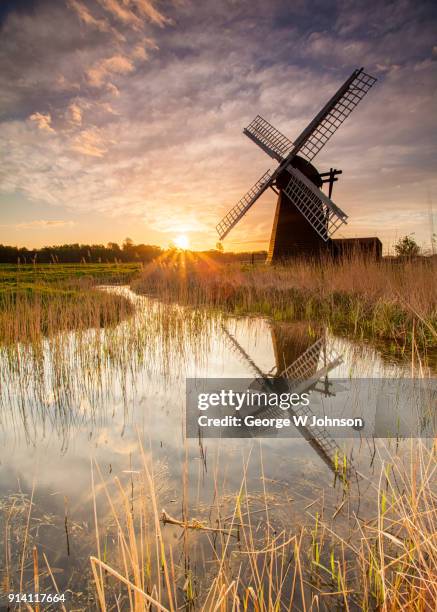 herringfleet windmill ii - east anglia 個照片及圖片檔