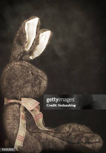 Bunny Dolly Photos and Premium High Res Pictures - Getty Images