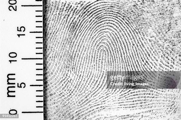 fingerprint with ruler for measurement - ruler stockfoto's en -beelden