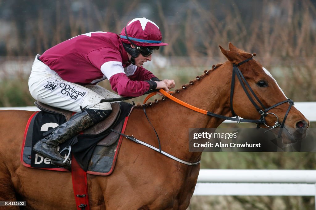 Leopardstown Races