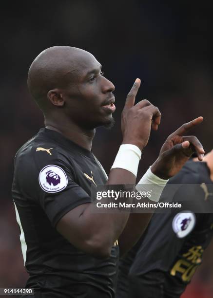 Mohamed Diame of Newcastle United celebrates scoring the opening goal during the Premier League match between Crystal Palace and Newcastle United at...