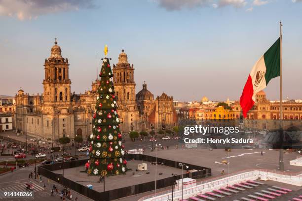 zocalo square in mexico city - mexican christmas stock pictures, royalty-free photos & images