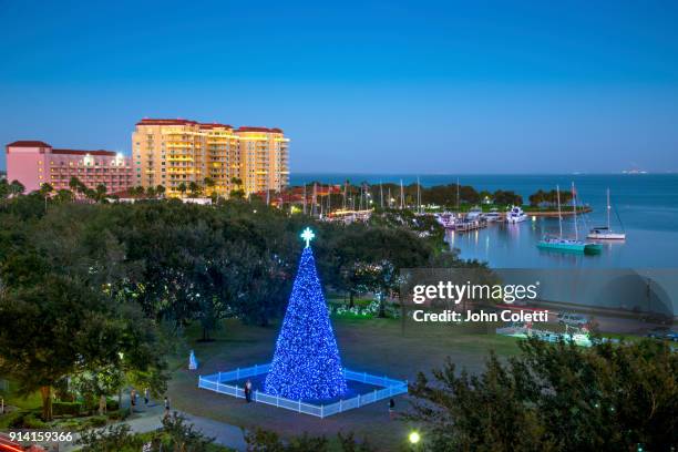 saint petersburg, florida - florida christmas stock-fotos und bilder