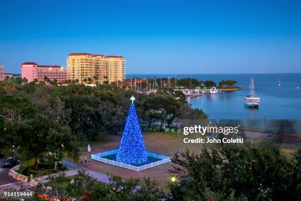 saint petersburg, florida - tampa christmas stock pictures, royalty-free photos & images