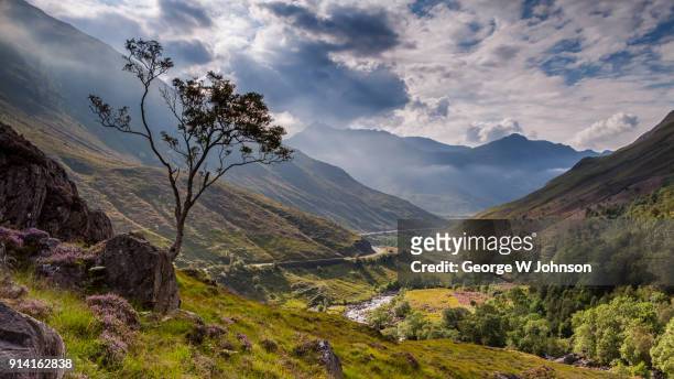 river shiel - heather stock pictures, royalty-free photos & images