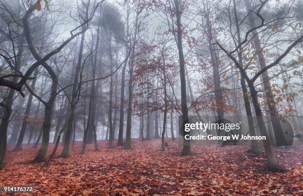 George W Rust Photos and Premium High Res Pictures - Getty Images