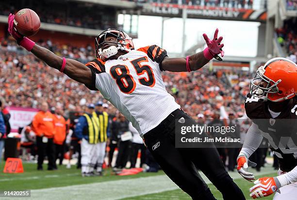 Chad Ochocinco of the Cincinnati Bengals hauls in a one handed catch for a first quatrer touchdown against the Cleveland Browns during their game at...