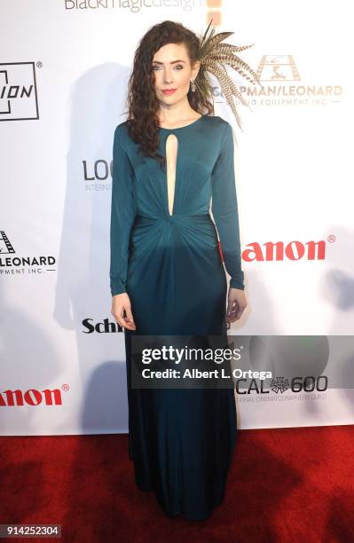 Actress Adrienne Wilkinson arrives for Society of Camera Operators Lifetime Achievement Awards held at Loews Hollywood Hotel on February 3, 2018 in...