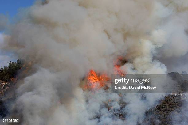 Mountainside goes up in flame as firefighters set a backfire to try to prevent the 3,500-acre Sheep fire from reaching the town of Wrightwood, a...