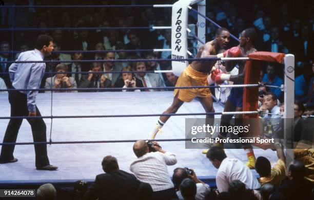 Mike McCallum of Jamaica and Herol Graham of Great Britain in action during their WBA middleweight title fight at the Royal Albert Hall in London on...