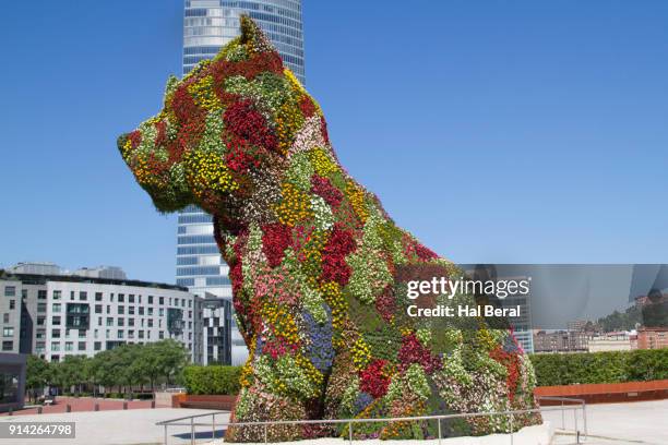 puppy by jeff koons at entrace to the bilbao guggenheim museum - jeff koons and guggenheim museum bilbao stock pictures, royalty-free photos & images