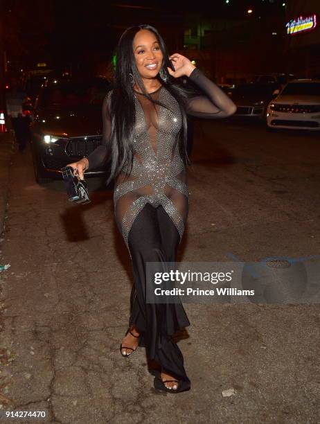 Marlo Hampton attends Her Birthday Dinner Celebration at Kaisers Restaurant on February 3, 2018 in Sandy Springs, Georgia.