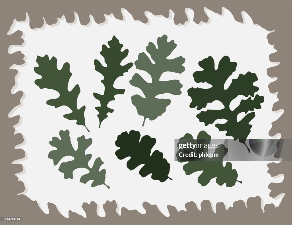 Oak Leaves