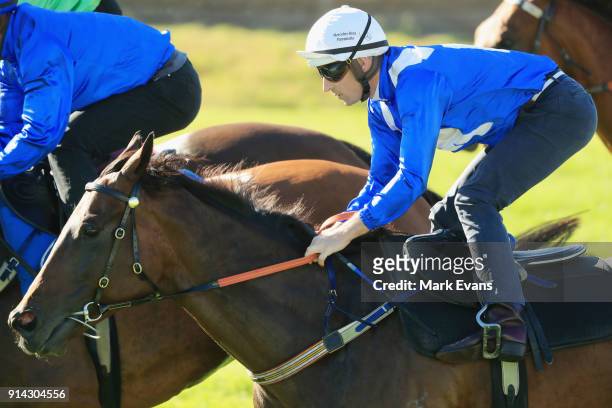 Hugh Bowman on Winx competes in a barrier trial at Rosehill Gardens on February 5, 2018 in Sydney, Australia.